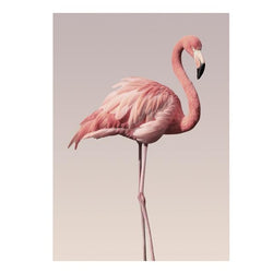Pastel Pink Flamingo Canvas Print